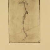 Tree Sprout