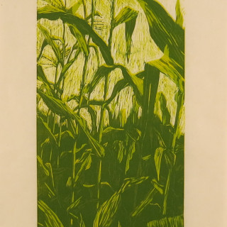 Corn